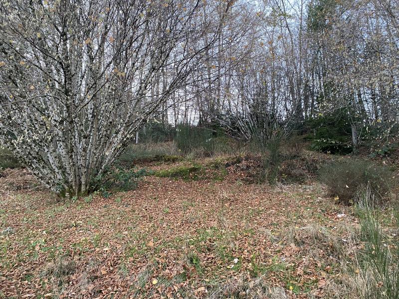 Maison - 99 m² - 4 pièces