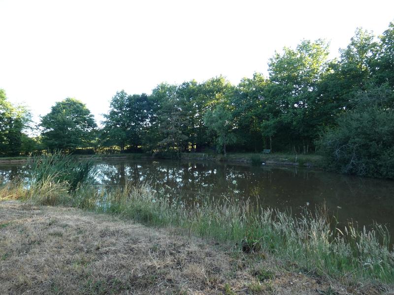 Terrain de loisirs - 11 460 m²