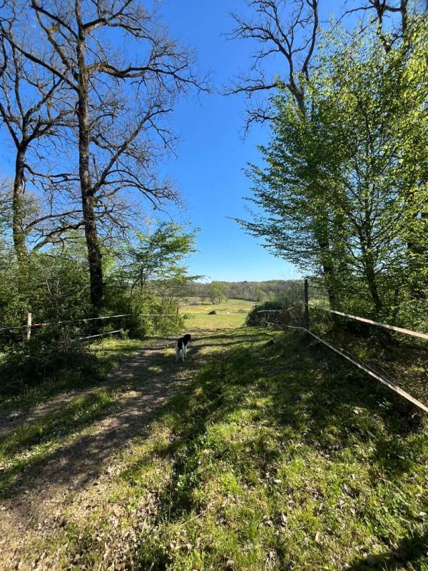 Propriété - 106 m² - 4 pièces