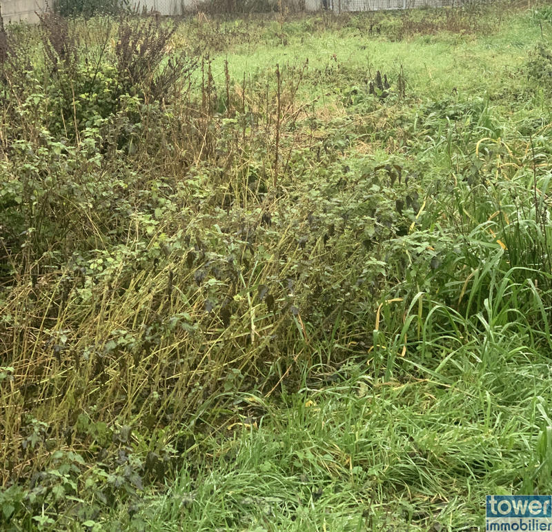 Maison - 250 m² - 8 pièces