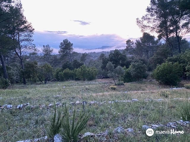 Terrain de loisirs - 6 500 m²