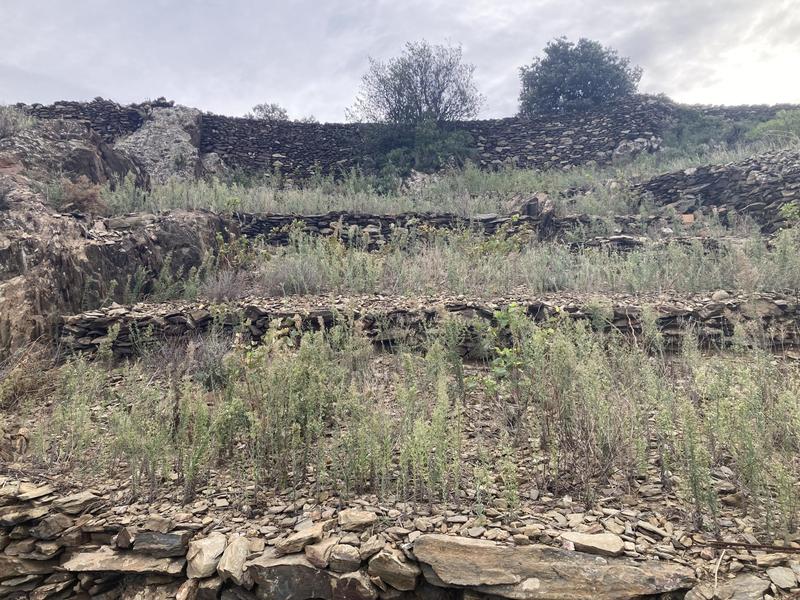 Terrain agricole - 10 846 m²