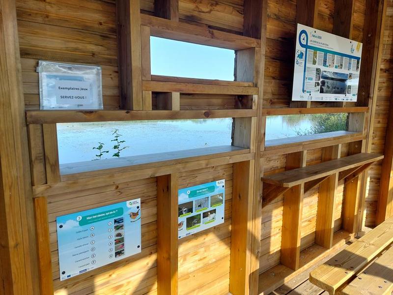 Sortie nature : le Vieil-étang de Bairon