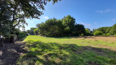 Terrain - 8 100 m²