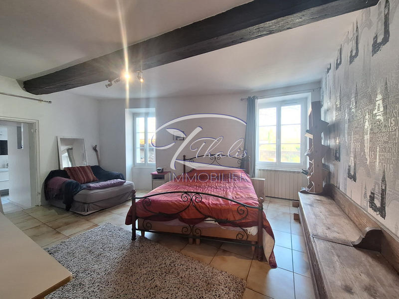 Maison ancienne - 387 m² - 14 pièces