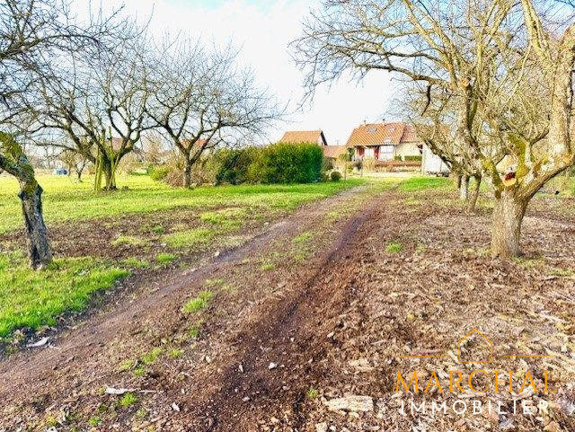 Maison traditionnelle - 200 m² - 8 pièces