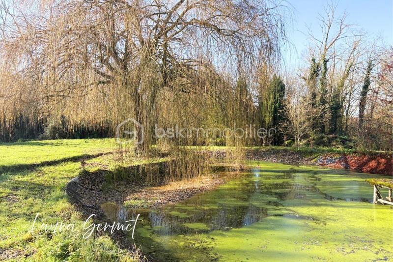 Maison ancienne - 100 m² - 7 pièces