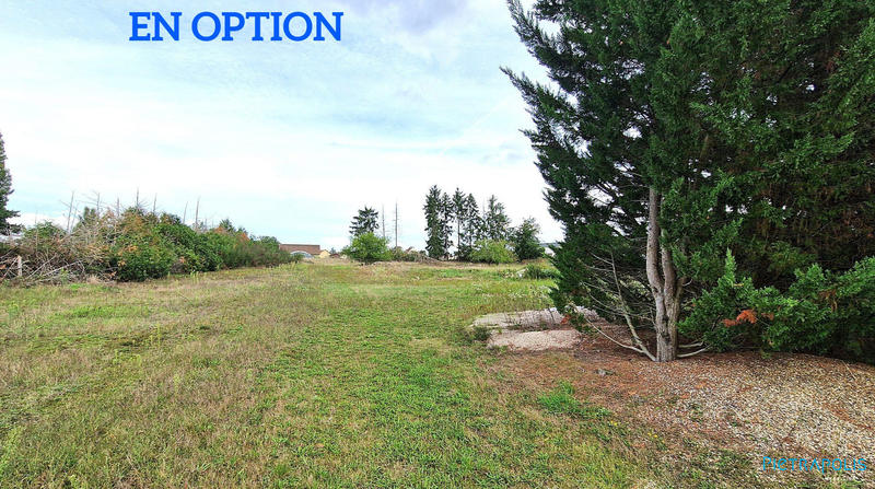 Maison ancienne - 278 m² - 9 pièces