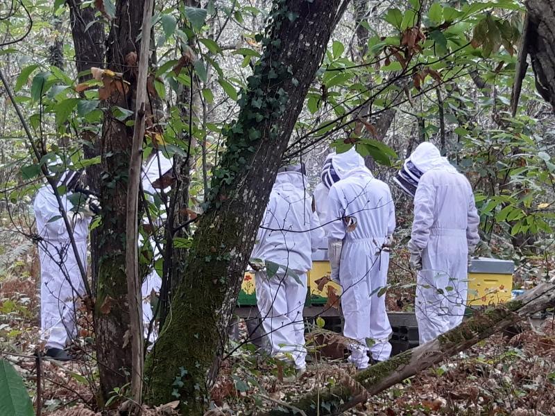 Semaine de la Biodiversité - Portes ouvertes de l'association "l'abeille est dans le pré" à Val-de-Livenne