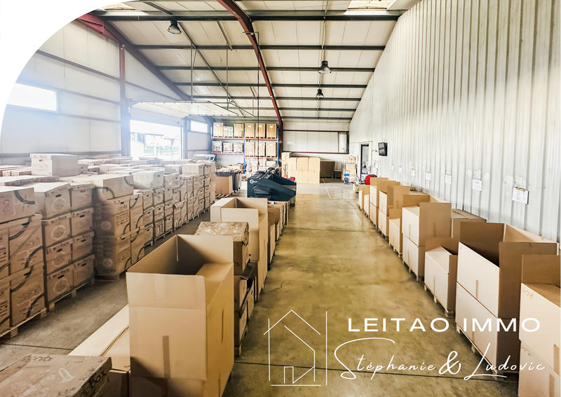 Local d'activités - 822 m²