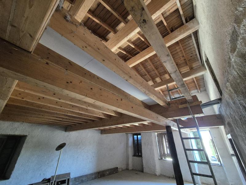 Maison ancienne - 380 m² - 8 pièces