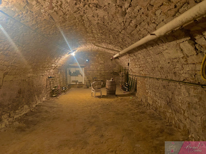 Maison - 230 m² - 13 pièces