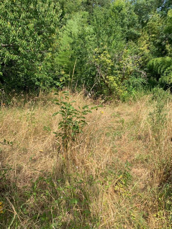 Maison - 155 m² - 8 pièces