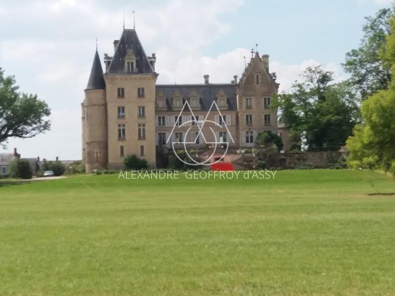Château - 4 200 m² - 72 pièces