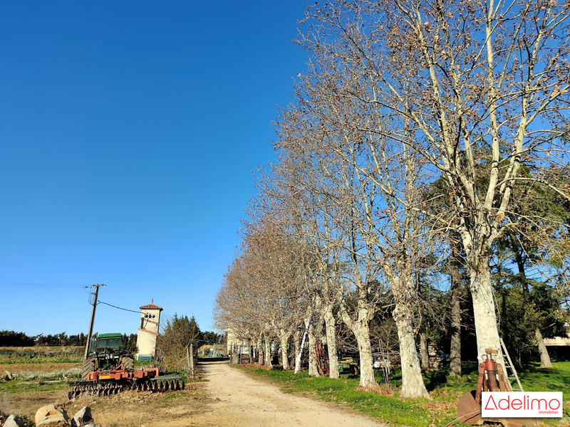 Mas - 1 582 m² - 15 pièces