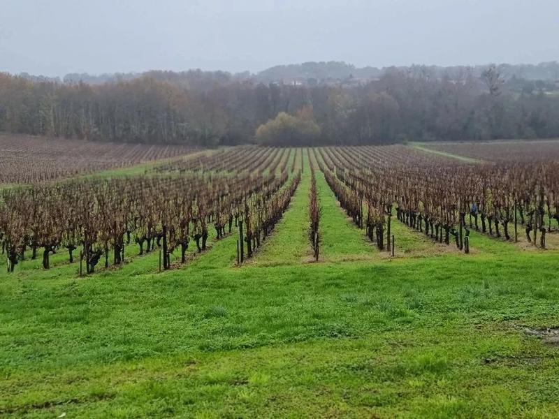 Maison - 220 m² - 7 pièces