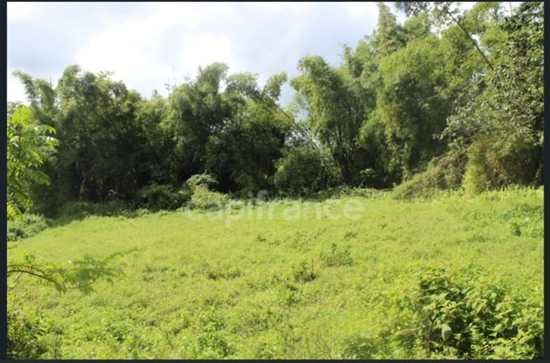 Terrain constructible - 6 130 m²
