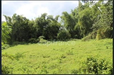 Terrain constructible - 6 130 m²