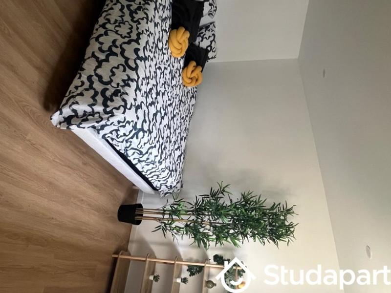 Appartement - 14 m² - 1 pièce