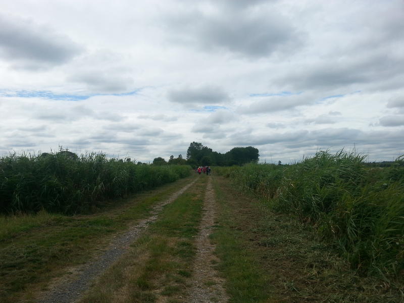 Les randonnées hivernales 2026