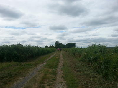 Les randonnées hivernales 2026