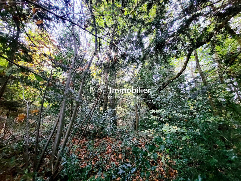 Maison ancienne - 96 m² - 3 pièces