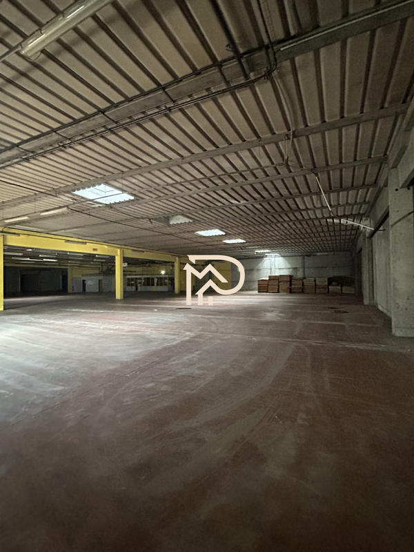 Entrepôt - 3 000 m²