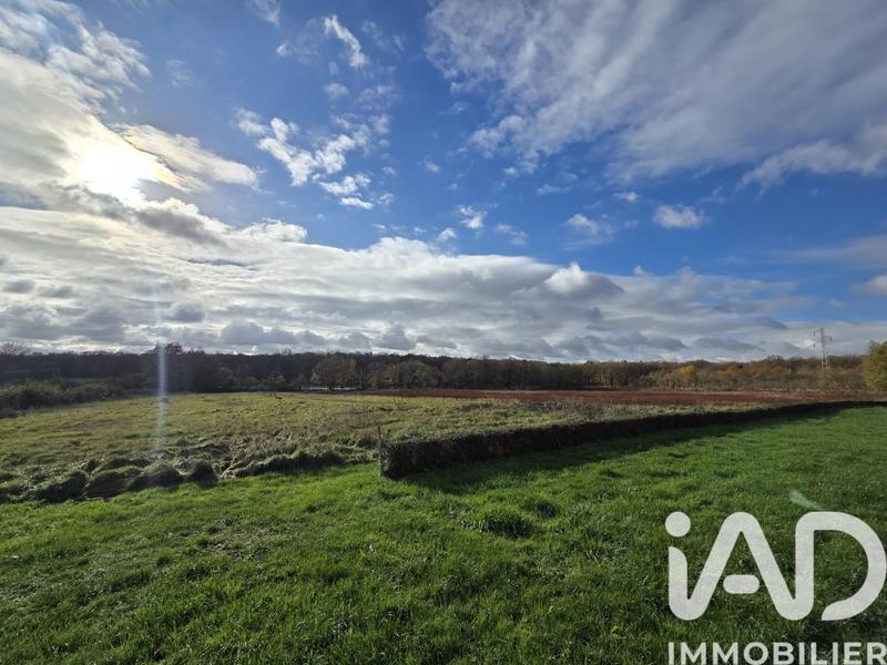 Terrain - 31 254 m²