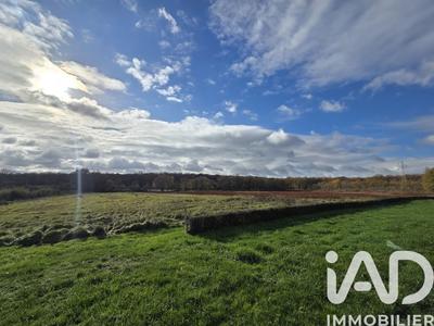 Terrain - 31 254 m²