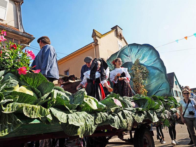 51e Fête de la choucroute-Sürkrütfecht