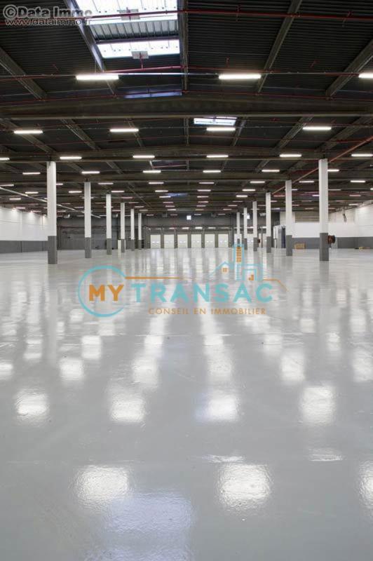 Entrepôt - 8 577 m²