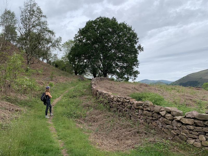 Randonnée accompagnée Capb "Harriondo - Entre les vallées du Baztan et de la Nive"