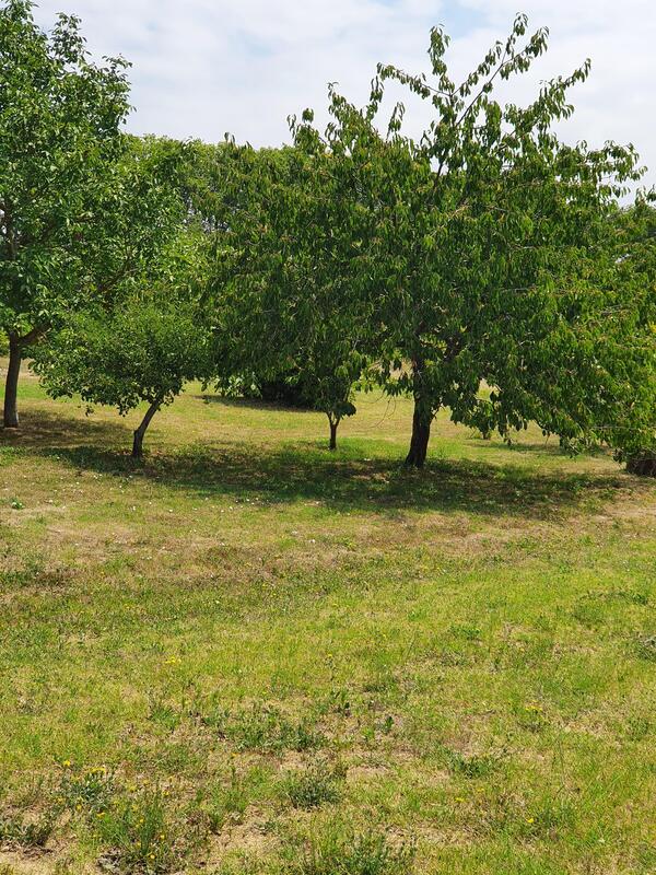 Terrain constructible - 890 m²