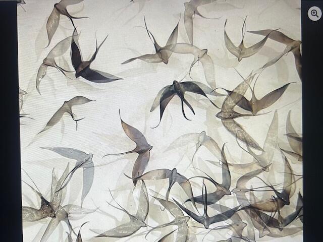 Vide maison de comédien