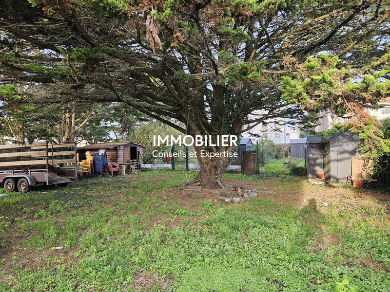 Viager - Maison - 175 m² - 4 pièces