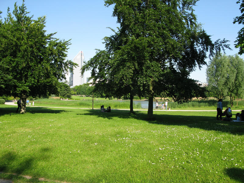 Appartement - 19 m² - 1 pièce