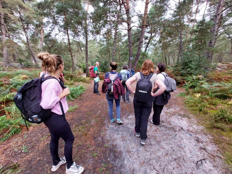 Randonnée en forêt de Fontainebleau : les gorges de Franchard