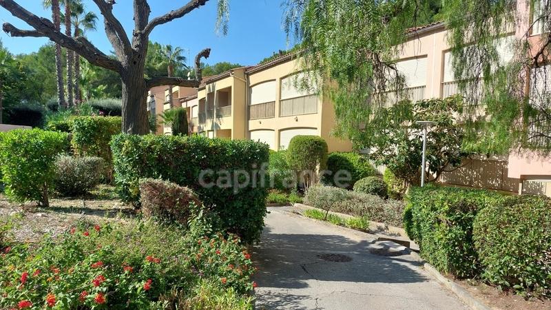 Appartement - 31 m² - 2 pièces