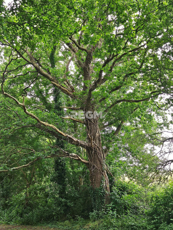 Propriété - 193 m² - 7 pièces