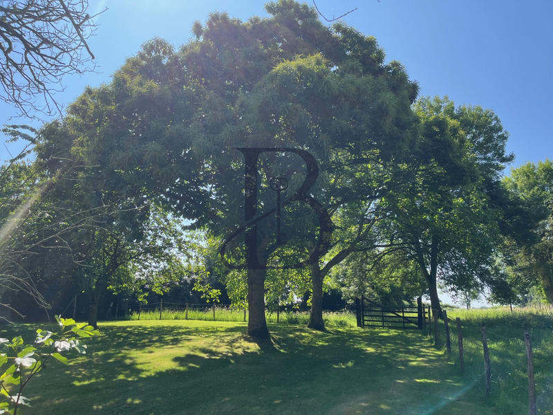 Maison ancienne - 130 m² - 6 pièces