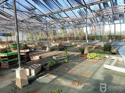 Fonds de commerce - Bureau - 3 000 m²