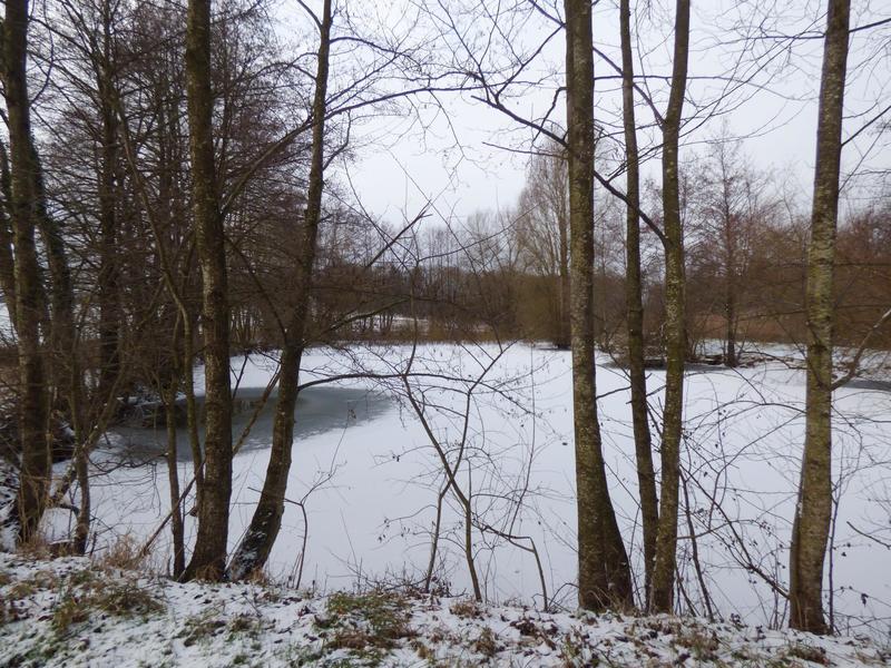 Terrain - 13 730 m²