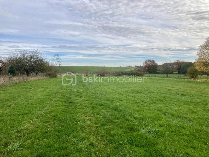 Terrain - 10 137 m²