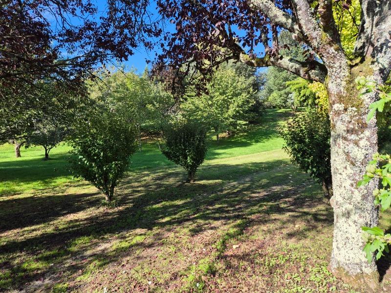 Terrain constructible - 3 000 m²
