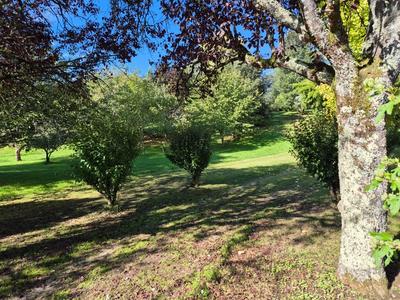 Terrain constructible - 3 000 m²