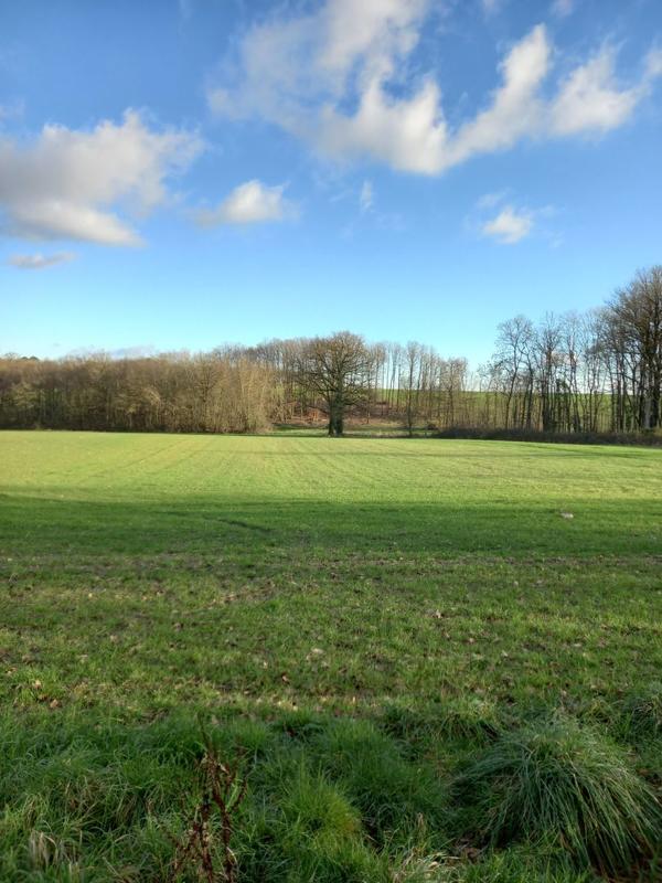 Maison - 130 m² - 1 pièce