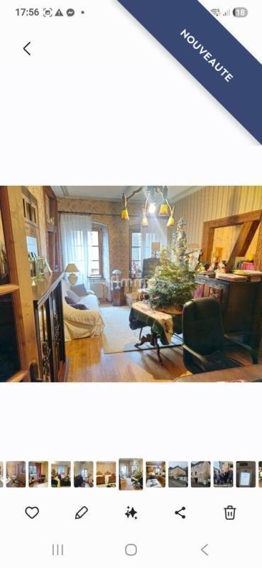 Maison de ville - 229 m² - 13 pièces