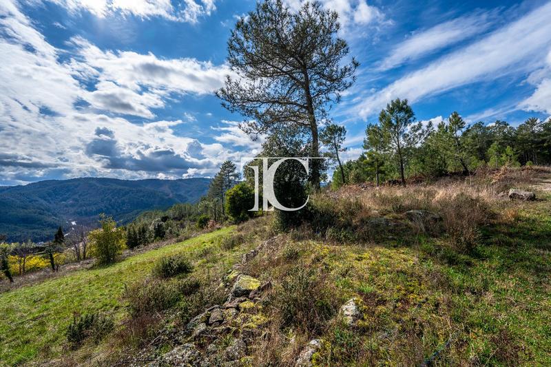 Terrain - 9 650 m²