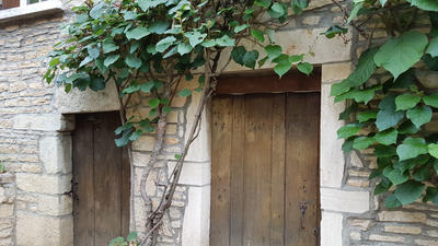 Maison - 230 m² - 9 pièces