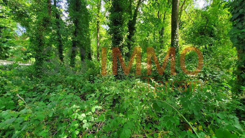 Terrain constructible - 3 313 m²